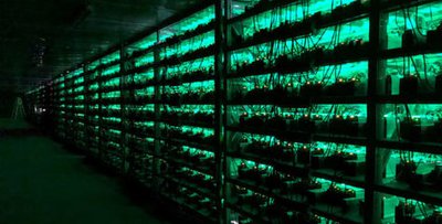 An overview of a bustling mining farm showcasing hosted machines and their role in generating daily wealth
