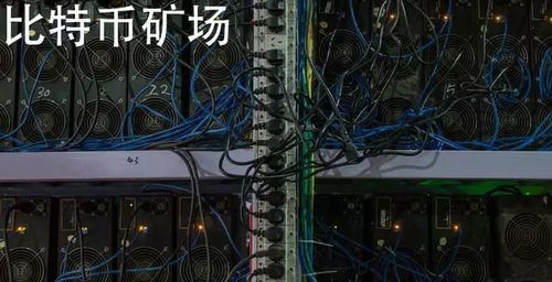 Cutting-edge mining rig from Russia designed for Bitcoin and Ethereum
