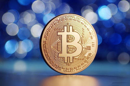 Bitcoin mining farm operational with state-of-the-art hosting services